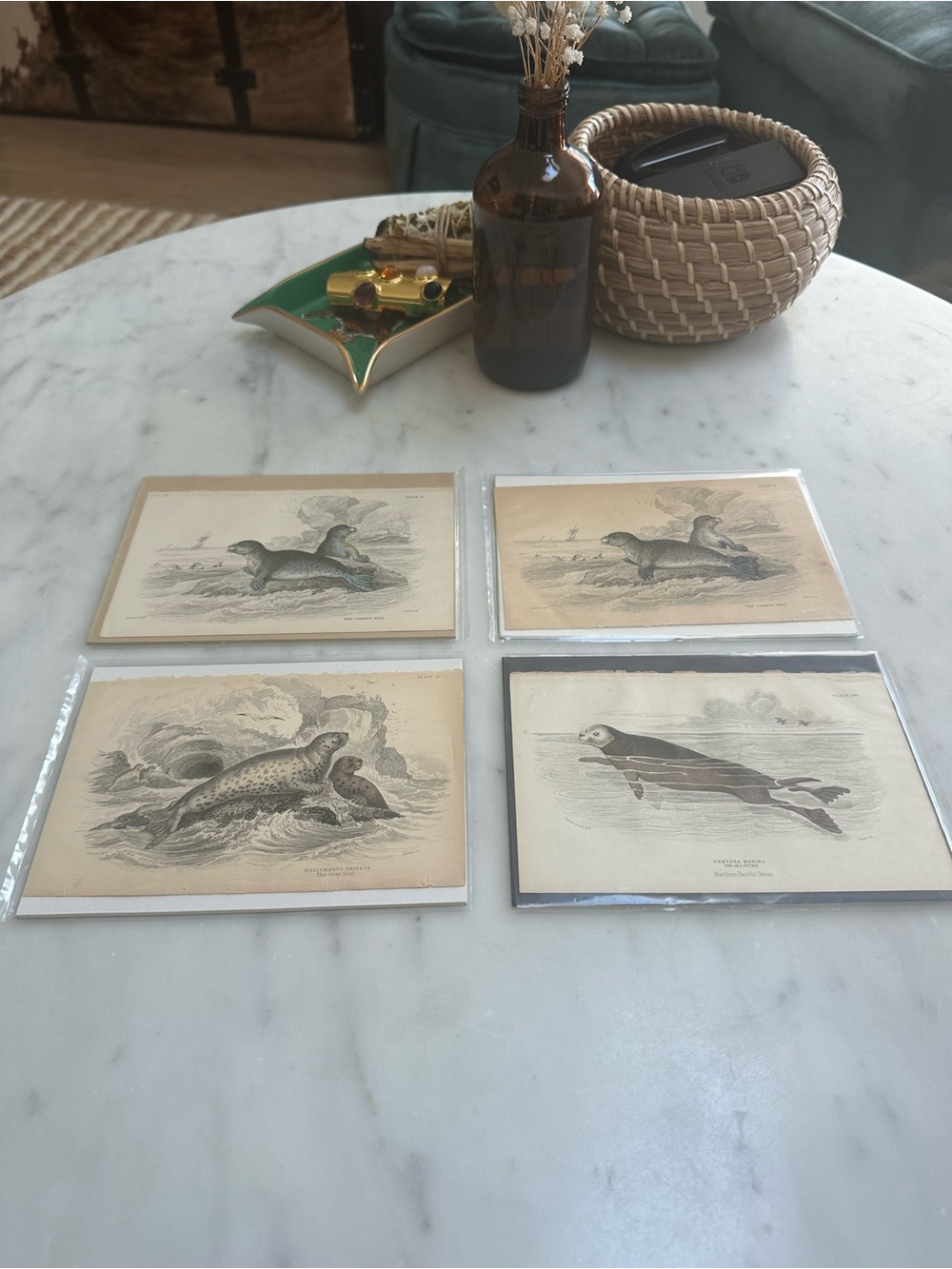 1800s Jardine’s The Naturalist’s Library Chromolithographs Seals and Otter